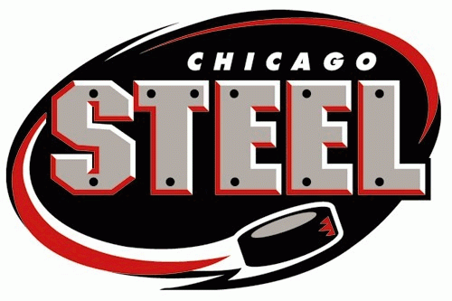 chicago steel 2000-pres primary logo iron on heat transfer